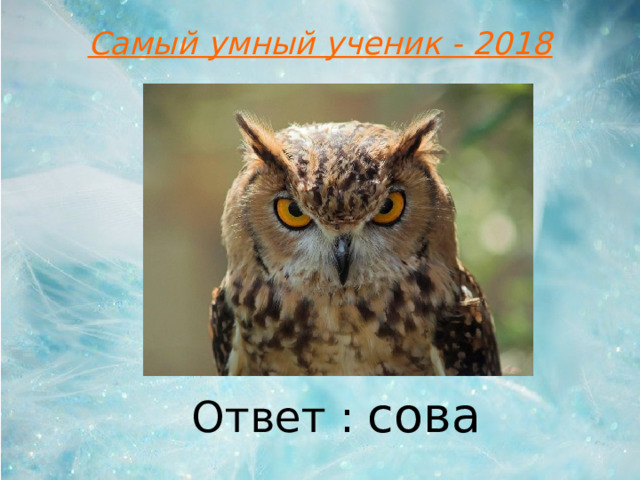 Самый умный ученик - 2018 Ответ : сова