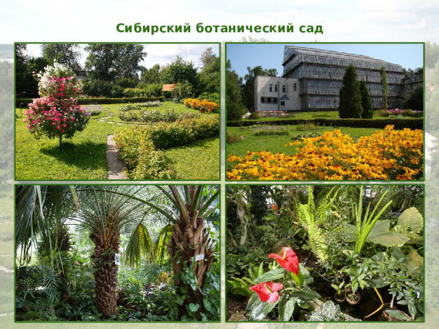 Сибирский ботанический сад 1