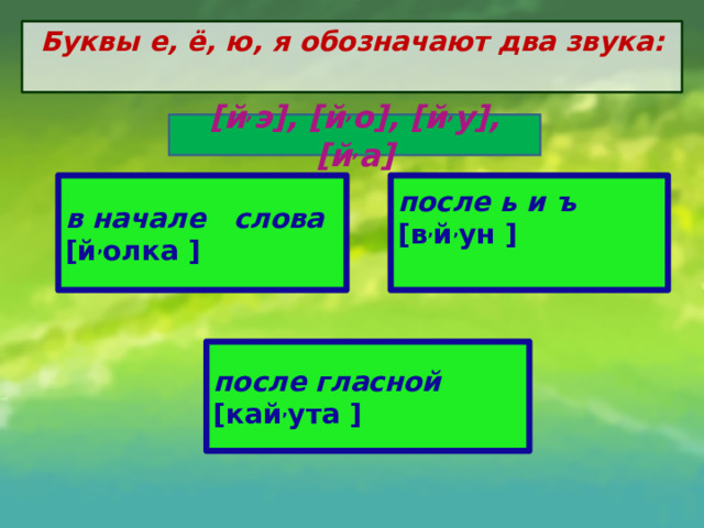 Буквы е, ё, ю, я обозначают два звука:   [й , э], [й , о], [й , у], [й , а] в начале слова [й , олка ] после ь и ъ [в , й , ун ] после гласной [кай , ута  ]