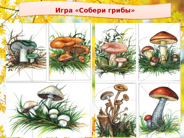Игра «Собери грибы»