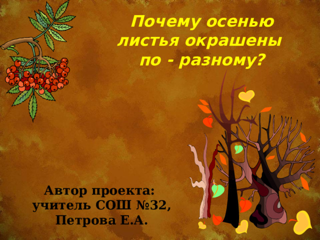 Почему осенью листья окрашены по - разному? Автор проекта: учитель СОШ №32, Петрова Е.А.