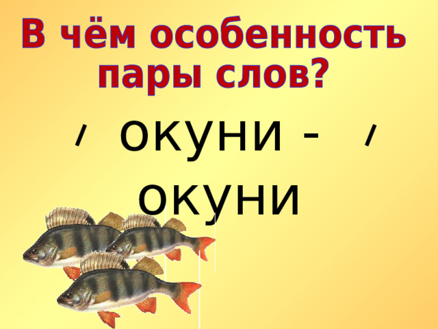 окуни - окуни