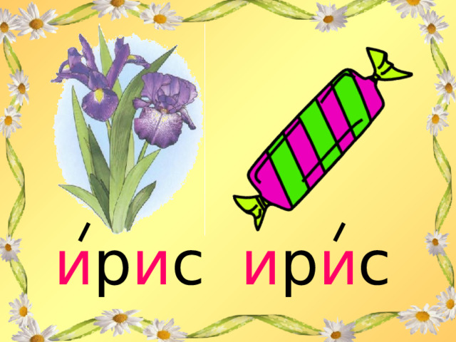и р и с и р и с