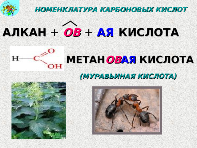 ОТВЕТЫ  ОДНООСНОВНАЯ, ПРЕДЕЛЬНАЯ 2. ОДНООСНОВНАЯ НЕПРЕДЕЛЬНАЯ 3. ОДНООСНОВНАЯ ПРЕДЕЛЬНАЯ 4. ДВУХОСНОВНАЯ, НЕПРЕДЕЛЬНАЯ 5. ОДНООСНОВНАЯ, НЕПРЕДЕЛЬНАЯ