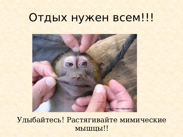 Отдых нужен всем!!! Улыбайтесь! Растягивайте мимические мышцы!!