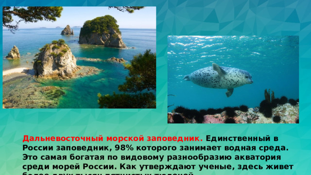 Дальневосточный морской заповедник. Единственный в России заповедник, 98% которого занимает водная среда. Это самая богатая по видовому разнообразию акватория среди морей России. Как утверждают ученые, здесь живет более двух тысяч пятнистых тюленей.