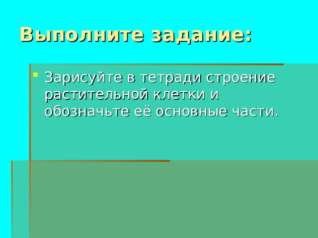 Выполните задание: