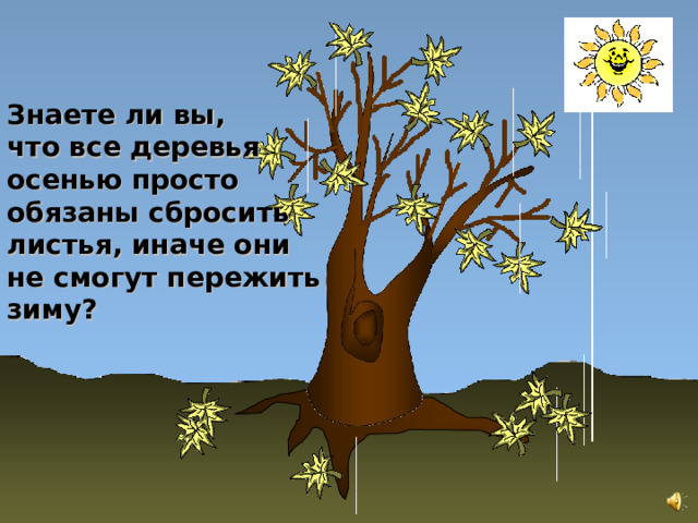 Знаете ли вы, что все деревья осенью просто обязаны сбросить листья, иначе они не смогут пережить зиму?