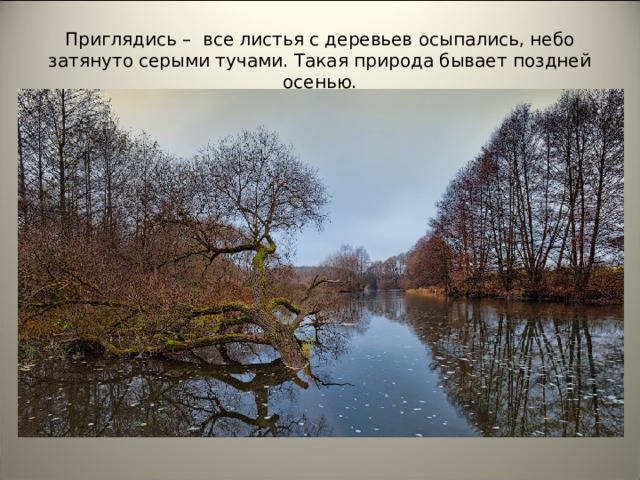 Приглядись – все листья с деревьев осыпались, небо затянуто серыми тучами. Такая природа бывает поздней осенью.