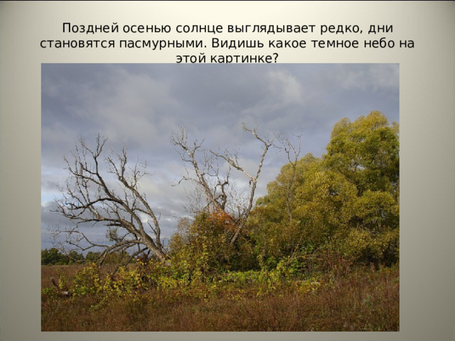 Поздней осенью солнце выглядывает редко, дни становятся пасмурными . Видишь какое темное небо на этой картинке?