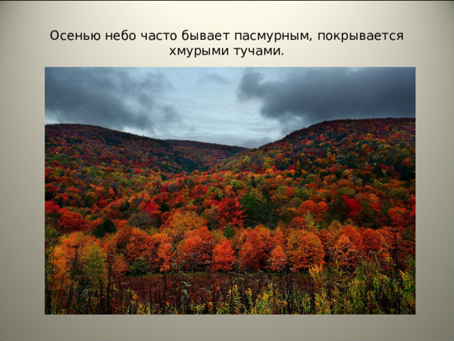 Осенью небо часто бывает пасмурным, покрывается хмурыми тучами.