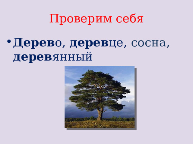 Проверим себя