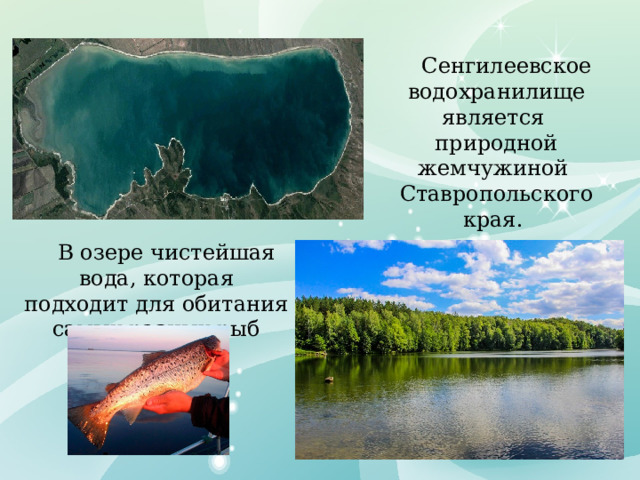 Сенгилеевское водохранилище является природной жемчужиной Ставропольского края.  В озере чистейшая вода, которая подходит для обитания самых разных рыб