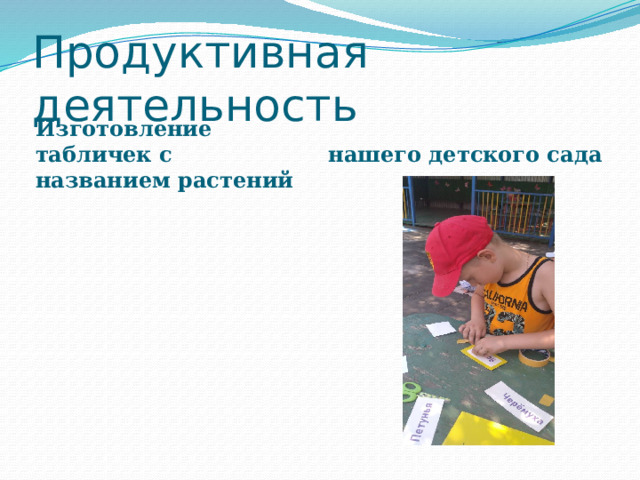 Продуктивная деятельность Изготовление табличек с названием растений нашего детского сада