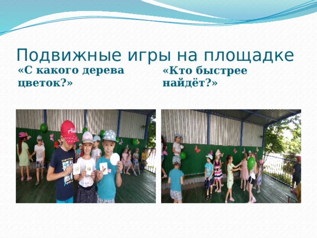 Подвижные игры на площадке «С какого дерева цветок?» «Кто быстрее найдёт?»