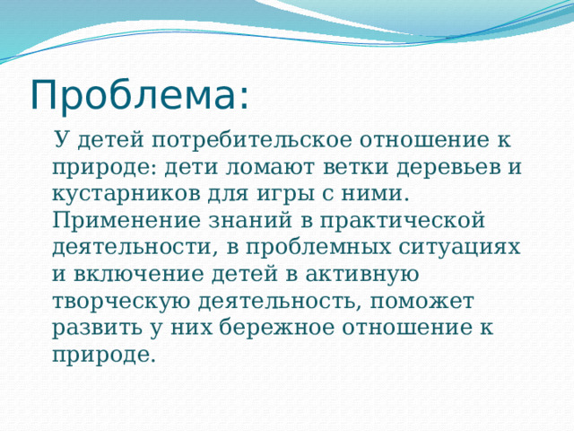 Проблема:  У детей потребительское отношение к природе: дети ломают ветки деревьев и кустарников для игры с ними. Применение знаний в практической деятельности, в проблемных ситуациях и включение детей в активную творческую деятельность, поможет развить у них бережное отношение к природе.