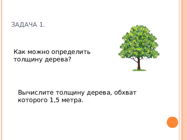 ЗАДАЧА 1. Как можно определить толщину дерева? Вычислите толщину дерева, обхват которого 1,5 метра.
