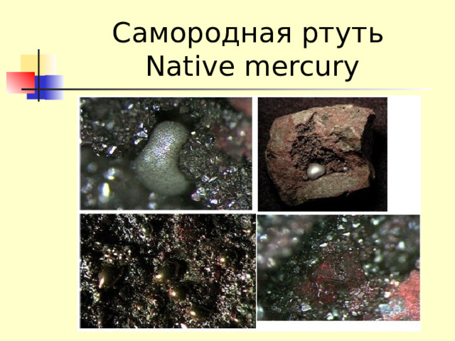 Самородная ртуть  Native mercury