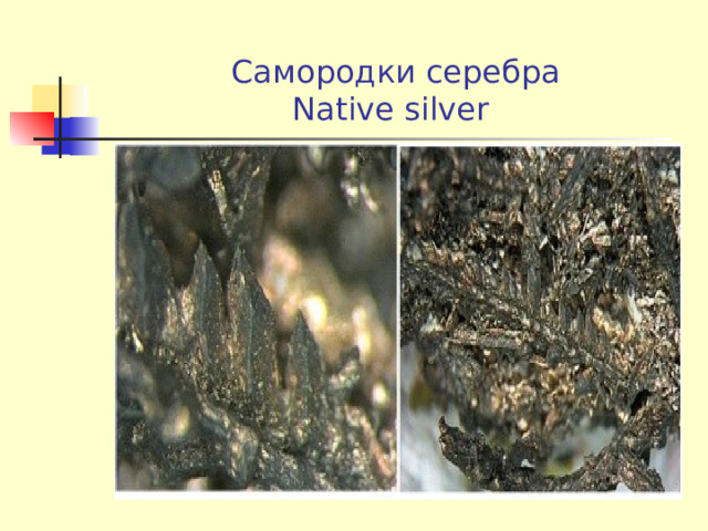 Самородки серебра  Native silver
