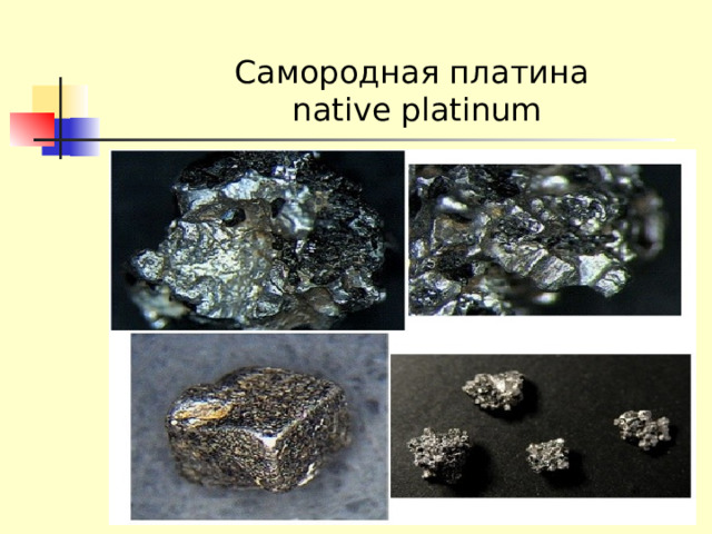 Самородная платина  native platinum