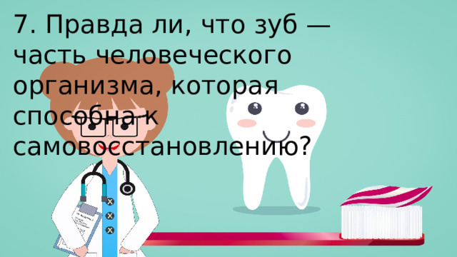 7. Правда ли, что зуб —часть человеческого организма, которая способна к самовосстановлению?