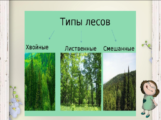 Типы лесов