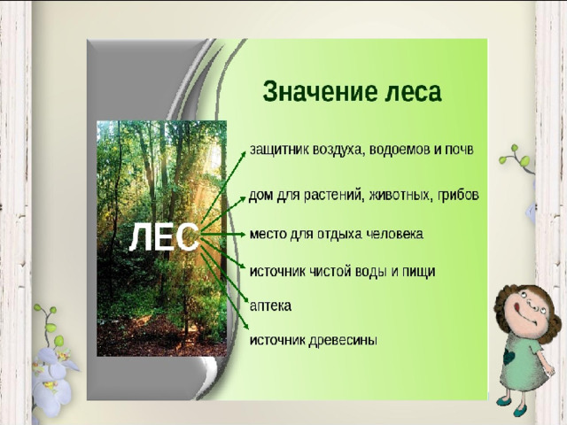 Урок жизнь леса 4 класс. Какой бывает лес прилагательные. Какие леса бывают в сказках. Какие бывают леса 3 класс родной язык. Каким бывает лес 100 к 1.