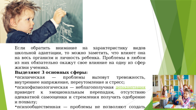 Если обратить внимание на характеристику видов школьной адаптации, то можно заметить, что влияет она на весь организм и личность ребенка. Проблемы в любом из них обязательно окажут свое влияние на одну из сфер жизни ученика. Выделяют 3 основных сферы: