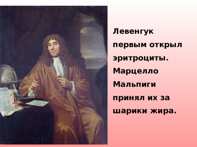 Левенгук первым открыл эритроциты. Марцелло Мальпиги принял их за шарики жира.