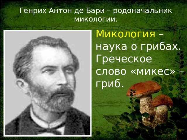 Генрих Антон де Бари – родоначальник микологии. Микология –  наука о грибах. Греческое слово «микес» – гриб.