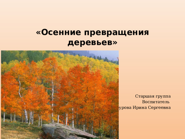 «Осенние превращения деревьев» Старшая группа Воспитатель Гафурова Ирина Сергеевна