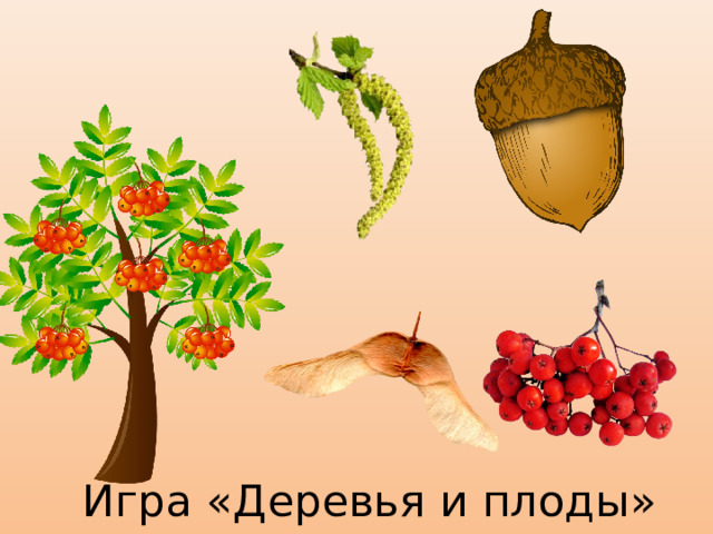 Игра «Деревья и плоды»