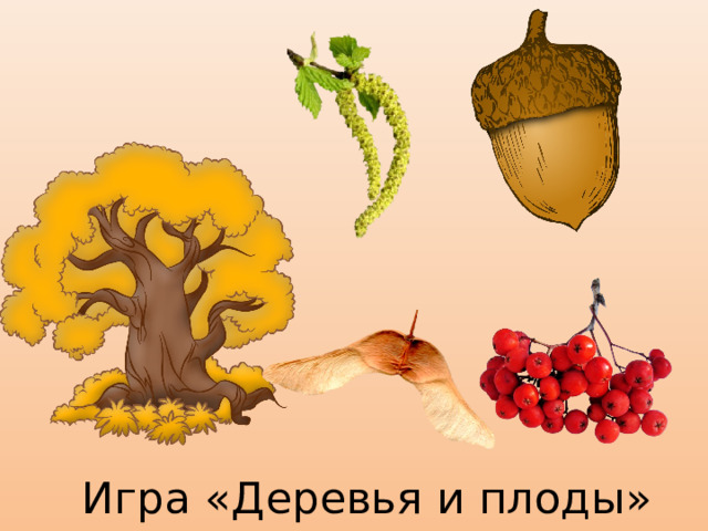 Игра «Деревья и плоды»