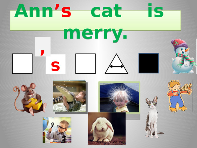 Ann ’s cat is merry. , s