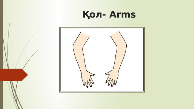Қол- Arms