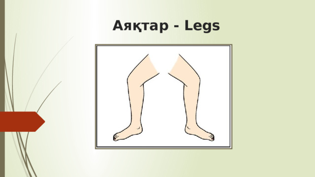 Аяқтар - Legs