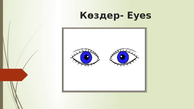 Көздер- Eyes