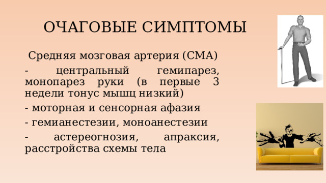 ОЧАГОВЫЕ СИМПТОМЫ  Средняя мозговая артерия (СМА) - центральный гемипарез, монопарез руки (в первые 3 недели тонус мышц низкий) - моторная и сенсорная афазия - гемианестезии, моноанестезии - астереогнозия, апраксия, расстройства схемы тела