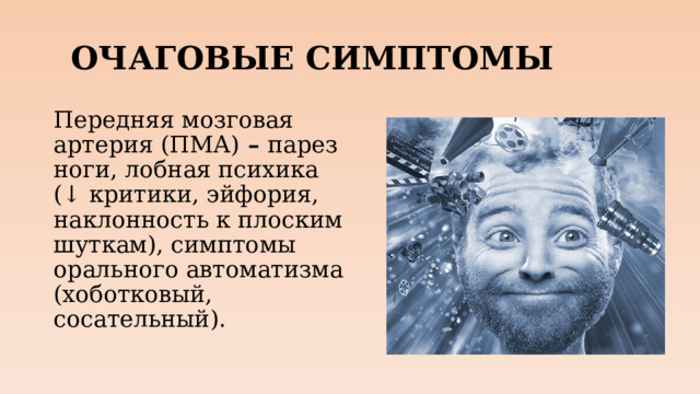 ОЧАГОВЫЕ СИМПТОМЫ Передняя мозговая артерия (ПМА) – парез ноги, лобная психика (↓ критики, эйфория, наклонность к плоским шуткам), симптомы орального автоматизма (хоботковый, сосательный).