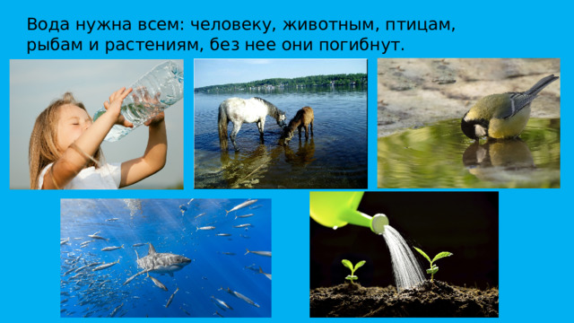 Вода нужна всем: человеку, животным, птицам, рыбам и растениям, без нее они погибнут.