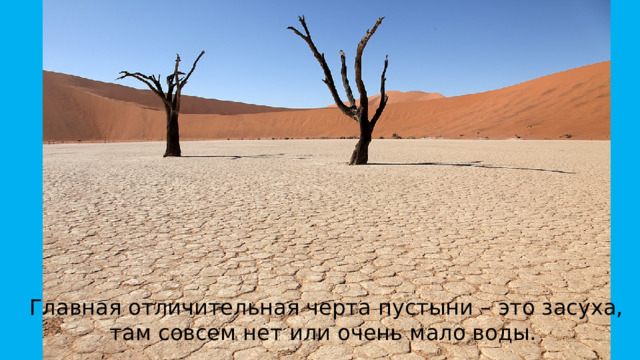 Главная отличительная черта пустыни – это засуха, там совсем нет или очень мало воды.