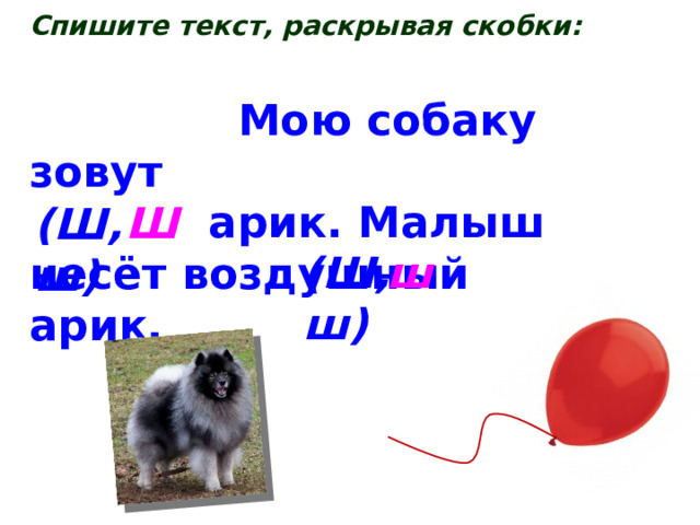 Спишите текст, раскрывая скобки:   Мою собаку зовут  арик. Малыш несёт воздушный арик. Ш (Ш, ш) (Ш, ш) ш