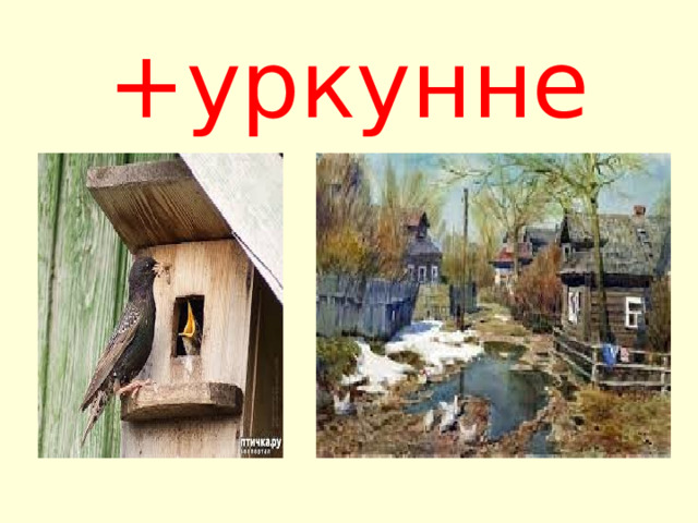 +уркунне