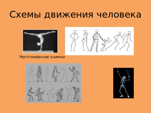 Схемы движения человека Рентгеновские снимки