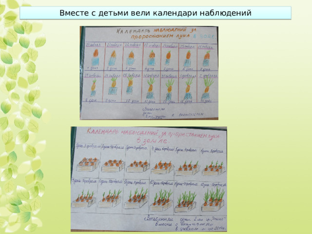 Вместе с детьми вели календари наблюдений