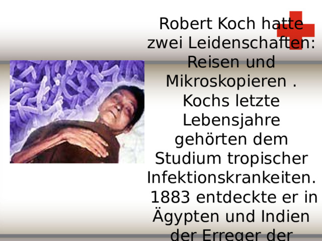 Robert Koch hatte zwei Leidenschaften: Reisen und Mikroskopieren . Kochs letzte Lebensjahre geh örten dem Studium tropischer Infektionskrankeiten. 1883 entdeckte er in Ägypten und Indien der Erreger der Cholera.