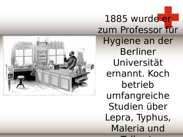 1885 wurde er zum Professor f ür Hygiene an der Berliner Universität ernannt. Koch betrieb umfangreiche Studien über Lepra, Typhus, Maleria und Tollwut.