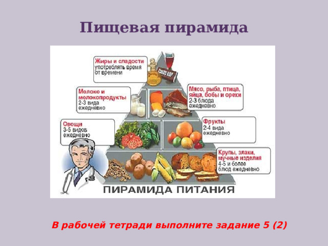 Пищевая пирамида В рабочей тетради выполните задание 5 (2)