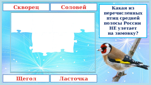Соловей Скворец Какая из перечисленных птиц средней полосы России  НЕ улетает на зимовку? Щегол Ласточка