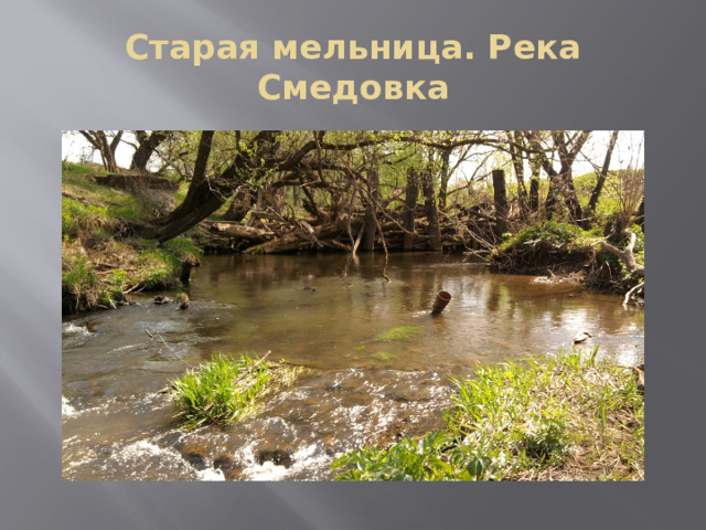 Старая мельница. Река Смедовка